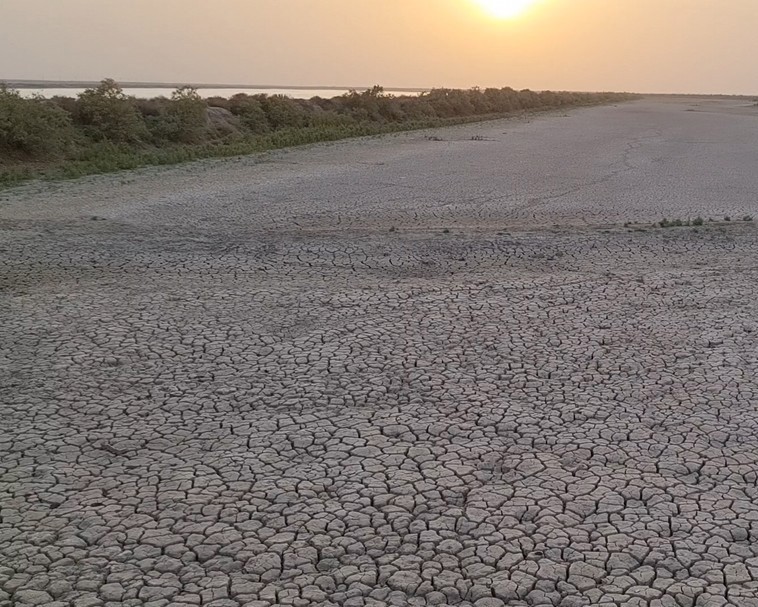 الجفاف في العراق: الطبيعة متّهمة والحكومات مذنبة