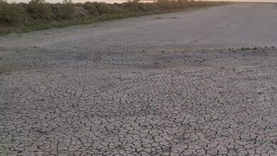 الجفاف في العراق: الطبيعة متّهمة والحكومات مذنبة