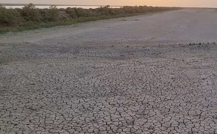 الجفاف في العراق: الطبيعة متّهمة والحكومات مذنبة